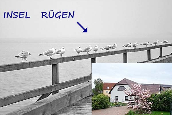 Marktwertermittlung Einfamilienhaus